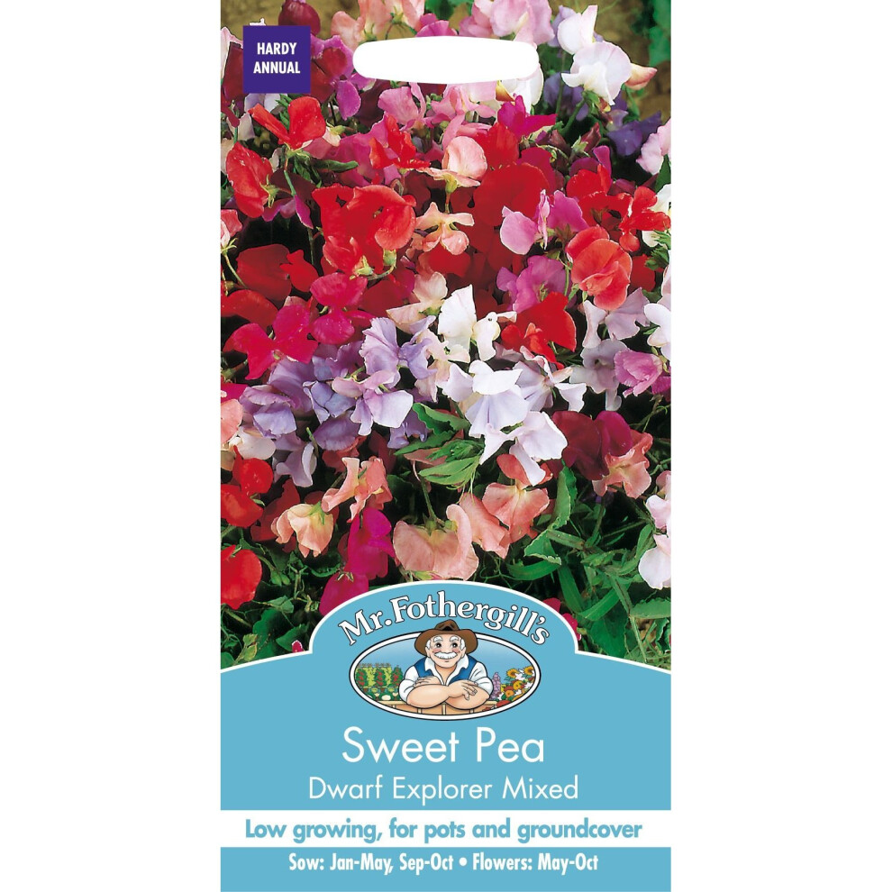 Mr Fothergills - Pictorial Packet - Flower - Sweet Pea  - Dwarf Explorer Mixed - 25 Seeds