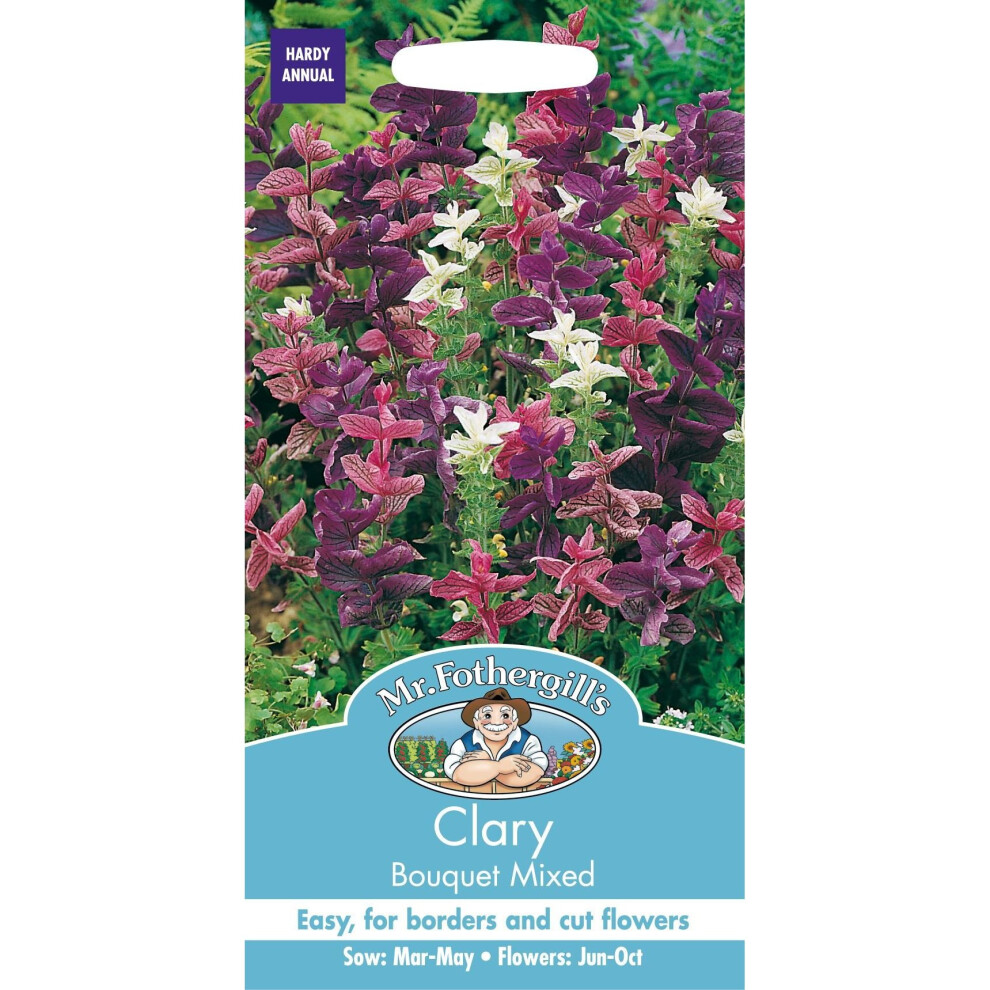 Mr Fothergills - Pictorial Packet - Flower - Clary Bouquet Mixed - 35 Seeds