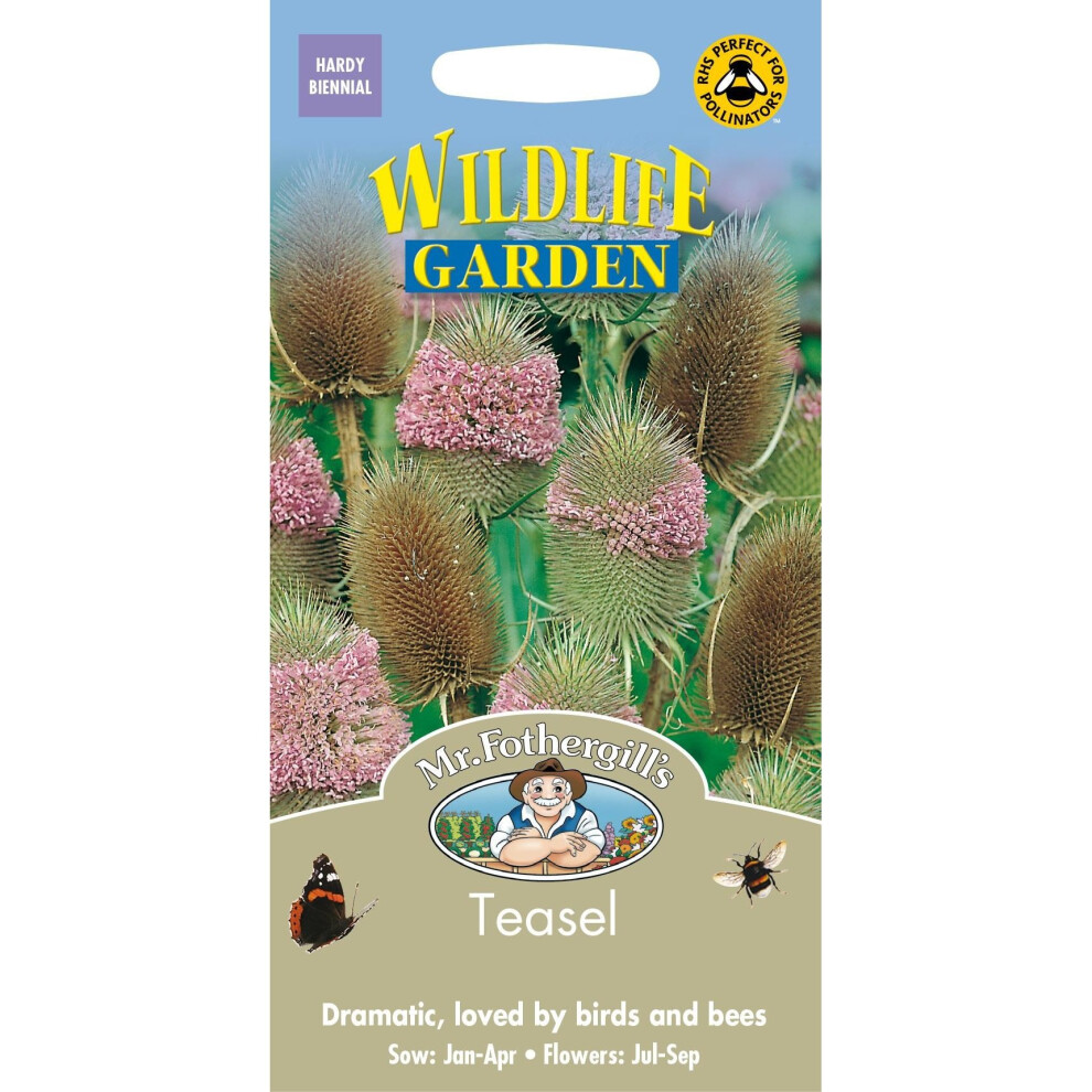 Mr Fothergills - Pictorial Packet - Wildflower - Teasel - 150 Seeds