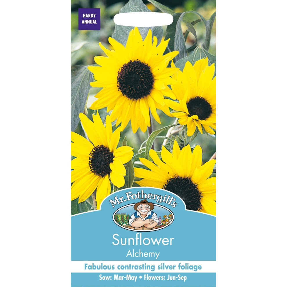 Mr Fothergill's - Pictorial Packet - Flower - Sunflower Alchemy - 40 Seeds