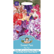 Mr Fothergills - Pictorial Packet - Flower - Sweet Pea - Big Top - 25 Seeds