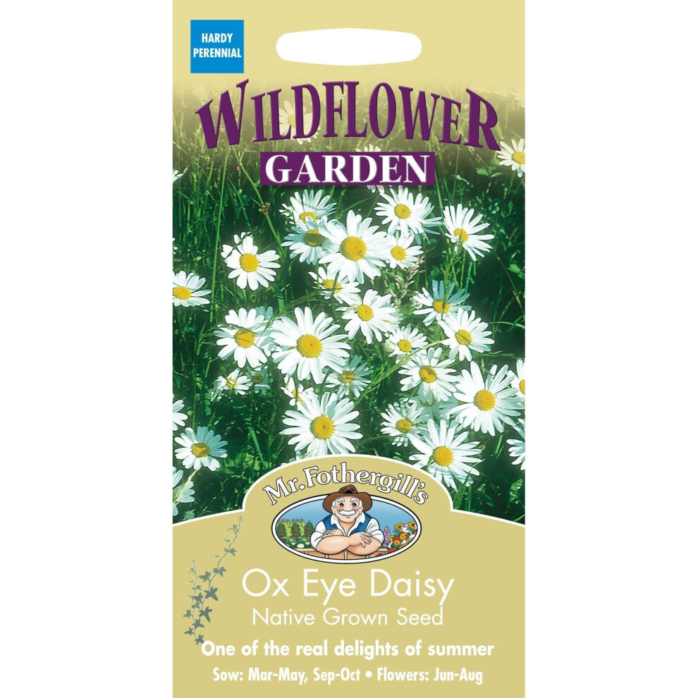 Mr Fothergills - Pictorial Packet - Wildflower - Ox Eye Daisy - 750 Seeds