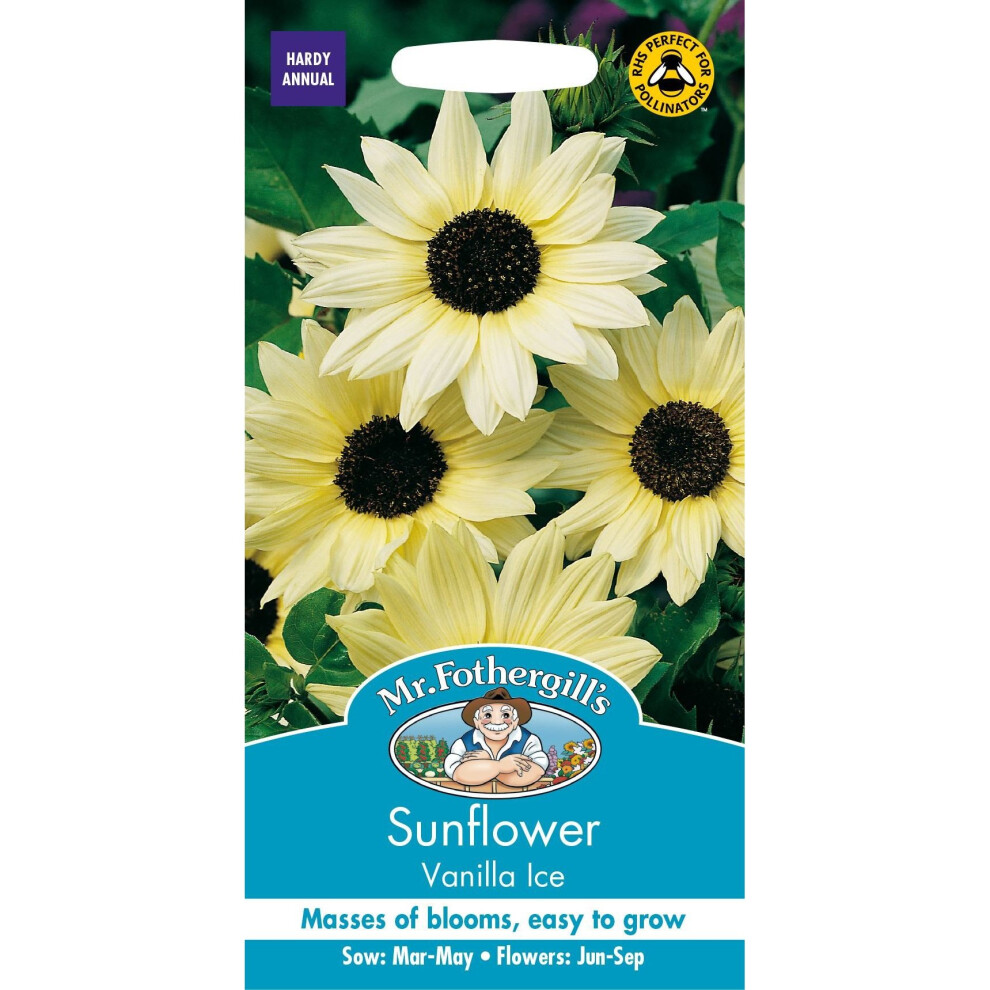 Mr Fothergills - Pictorial Packet - Flower - Sunflower Vanilla Ice F1 - 50 Seeds