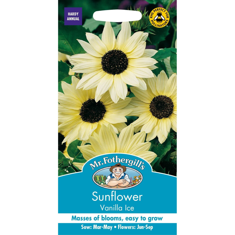 Mr Fothergill's - Pictorial Packet - Flower - Sunflower Vanilla Ice F1 - 50 Seeds