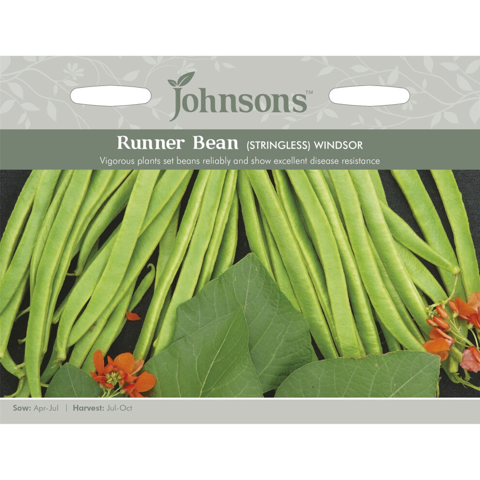 Johnsons Seeds - Pictorial Pack - Vegetable - Runner Bean Windsor - 50 Seeds