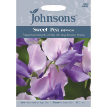 Johnsons Seeds - Pictorial Pack - Flower - Sweet Pea Erewhon - 20 Seeds