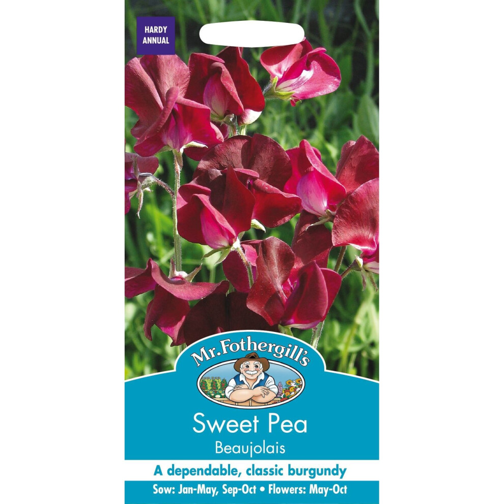 Mr Fothergills - Pictorial Packet - Flower - Sweet Pea - Beaujolais - 20 Seeds