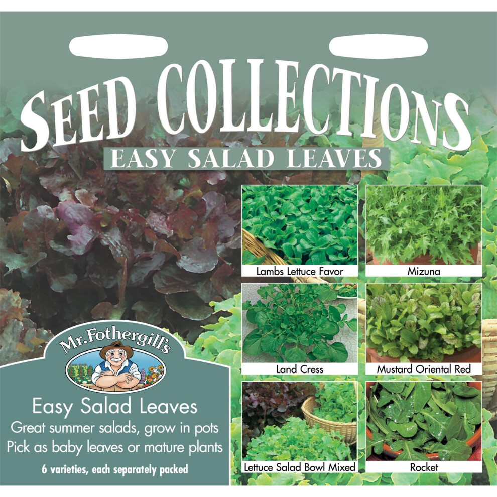 Mr Fothergill's - Pictorial Packet - Vegetable - Easy Salad Leaves Collection - 6 Varieties Seeds