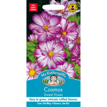 Mr Fothergills - Pictorial Packet - Flower - Cosmos Sweet Kisses - 30 Seeds