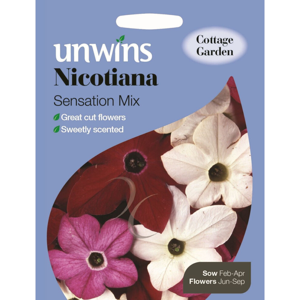 Unwins Grow Your Own At Home Nicotiana Sensation Mix Flowers Seeds