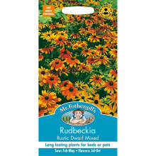 Mr Fothergills - Pictorial Packet - Flower - Rudbeckia Rustic Dwarf Mixed - 75 Seeds