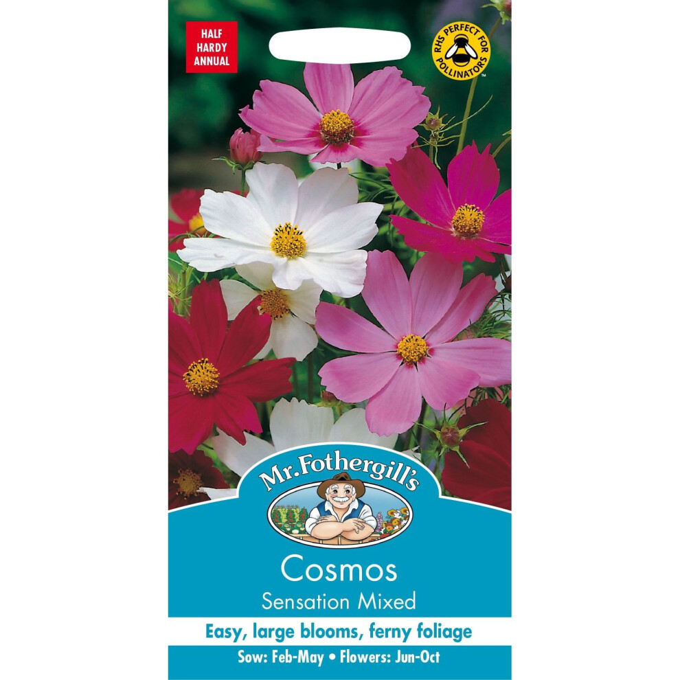 Mr Fothergills - Pictorial Packet - Flower - Cosmos Sensation Mixed - 120 Seeds