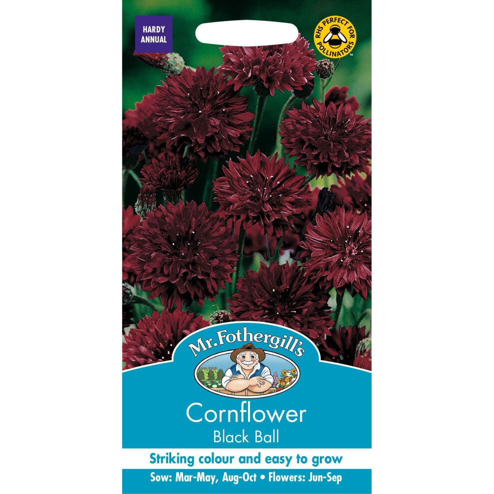 Mr Fothergills - Pictorial Packet - Flower - Cornflower Black Ball - 250 Seeds