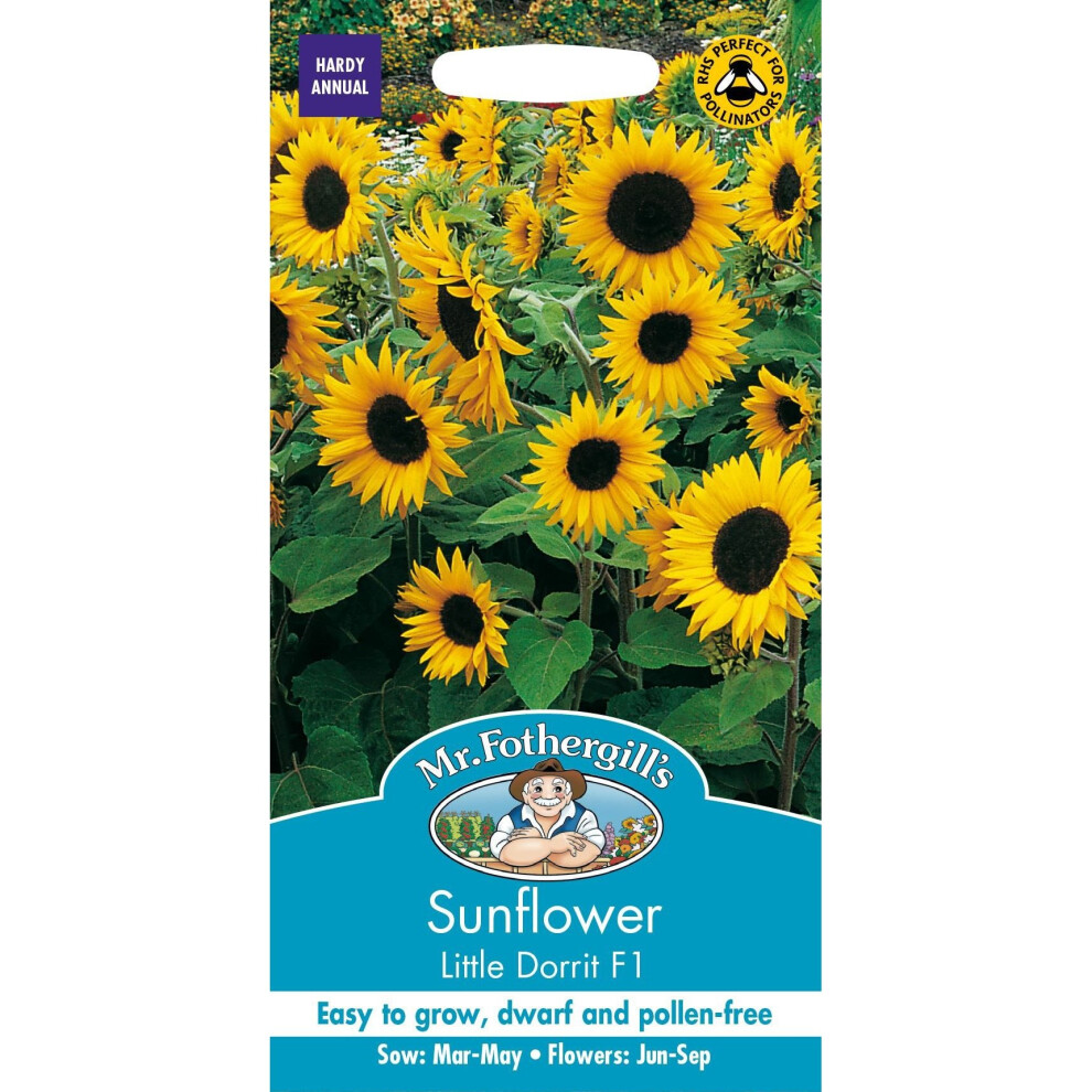 Mr Fothergill's - Pictorial Packet - Flower - Sunflower Little Dorrit F1 - 25 Seeds