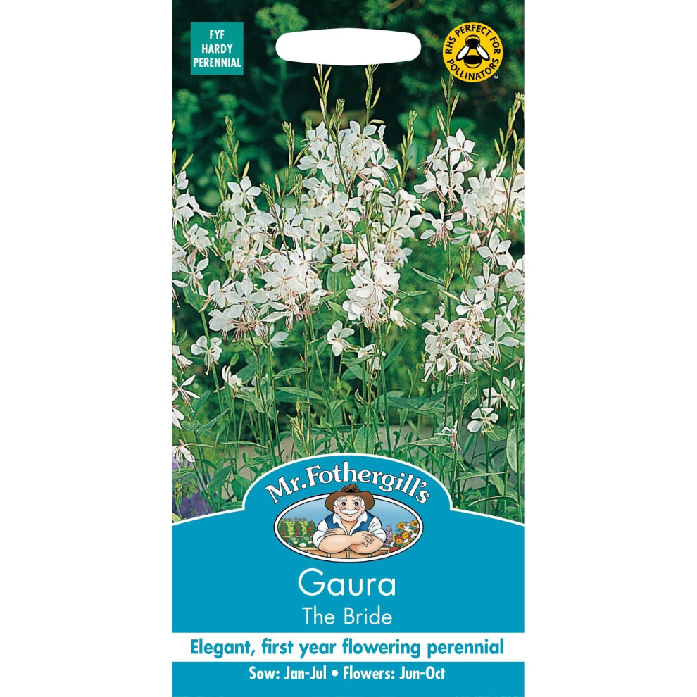 Mr Fothergills - Pictorial Packet - Flower - Gaura - The Bride - 30 Seeds