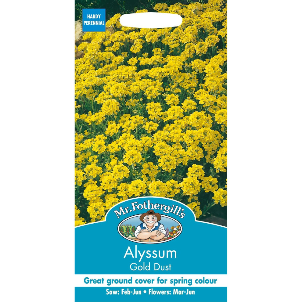 Mr Fothergills - Pictorial Packet - Flower - Alyssum Gold Dust - 150 Seeds