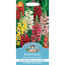 Mr Fothergills - Pictorial Packet - Flower - Antirrhinum Rust Resistant Mixed - 1000 Seeds
