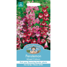 Mr Fothergills - Pictorial Packet - Flower - Penstemon Mixed Colours - 500 Seeds