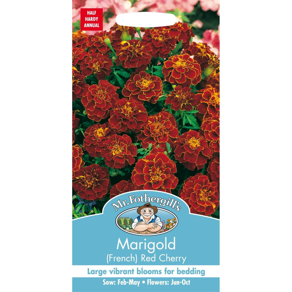 Mr Fothergills - Pictorial Packet - Flower - Marigold (French) Red Cherry - 60 Seeds