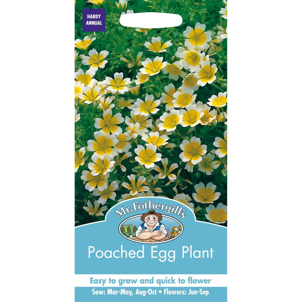Mr Fothergills - Pictorial Packet - Flower - Poached Egg Plant - 100 Seeds