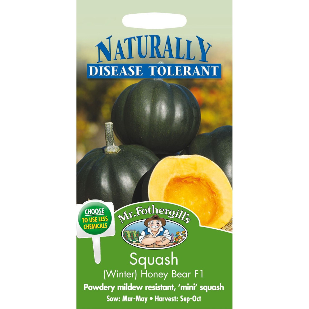 Mr Fothergills - Pictorial Packet - Vegetable - Squash Honey Bear F1 - 10 Seeds