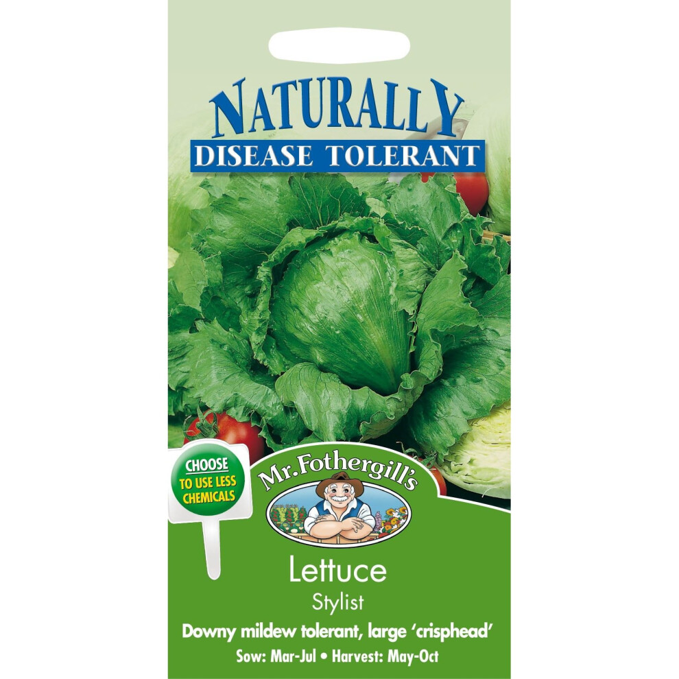 Mr Fothergill's - Pictorial Packet - Vegetable - Lettuce Stylist - 200 Seed