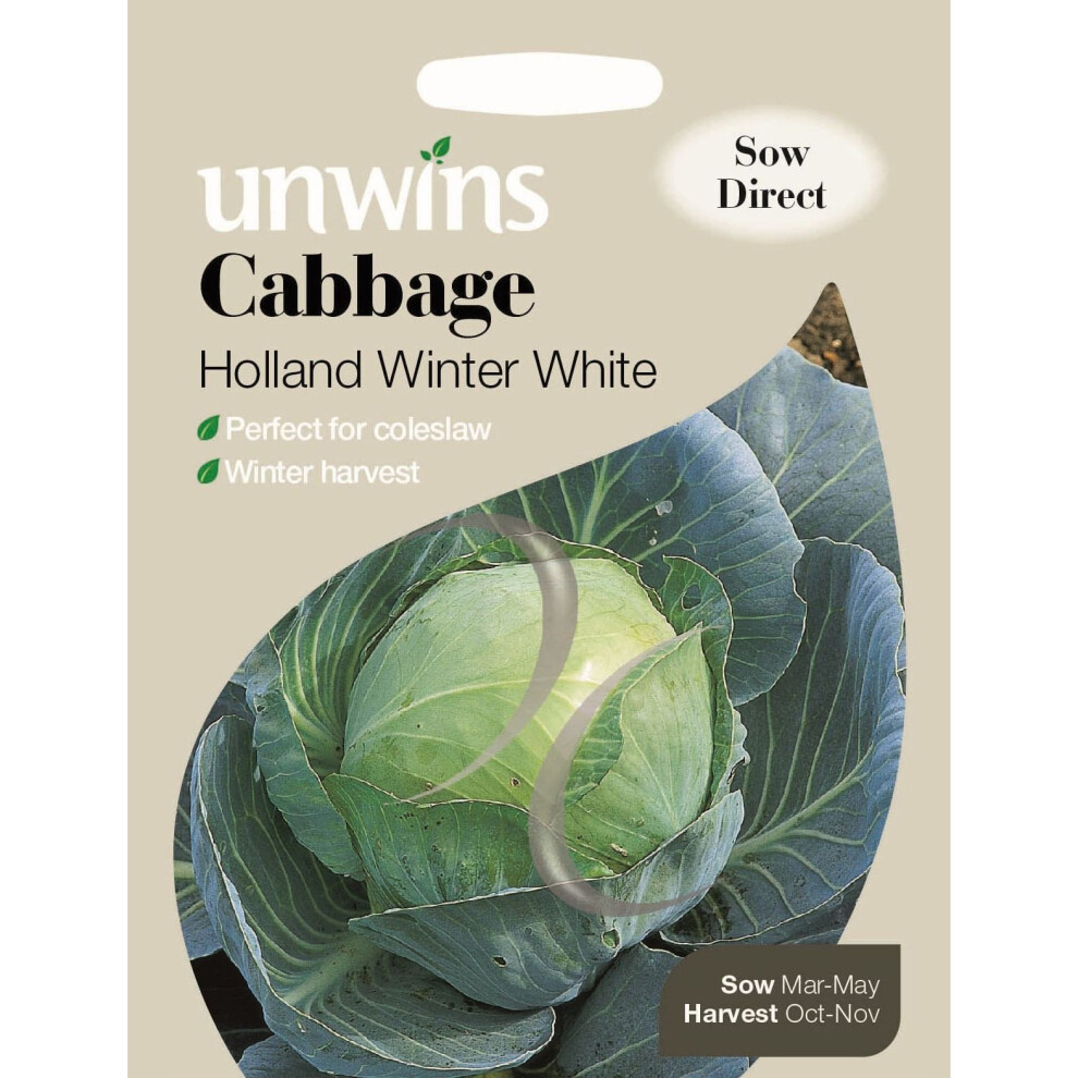 Unwins Grow Your Own Cabbage Holland Winter Vegetable Seeds White