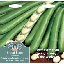 Mr Fothergills - Pictorial Packet - Vegetable - Broad Bean - Monica - 45 Seeds