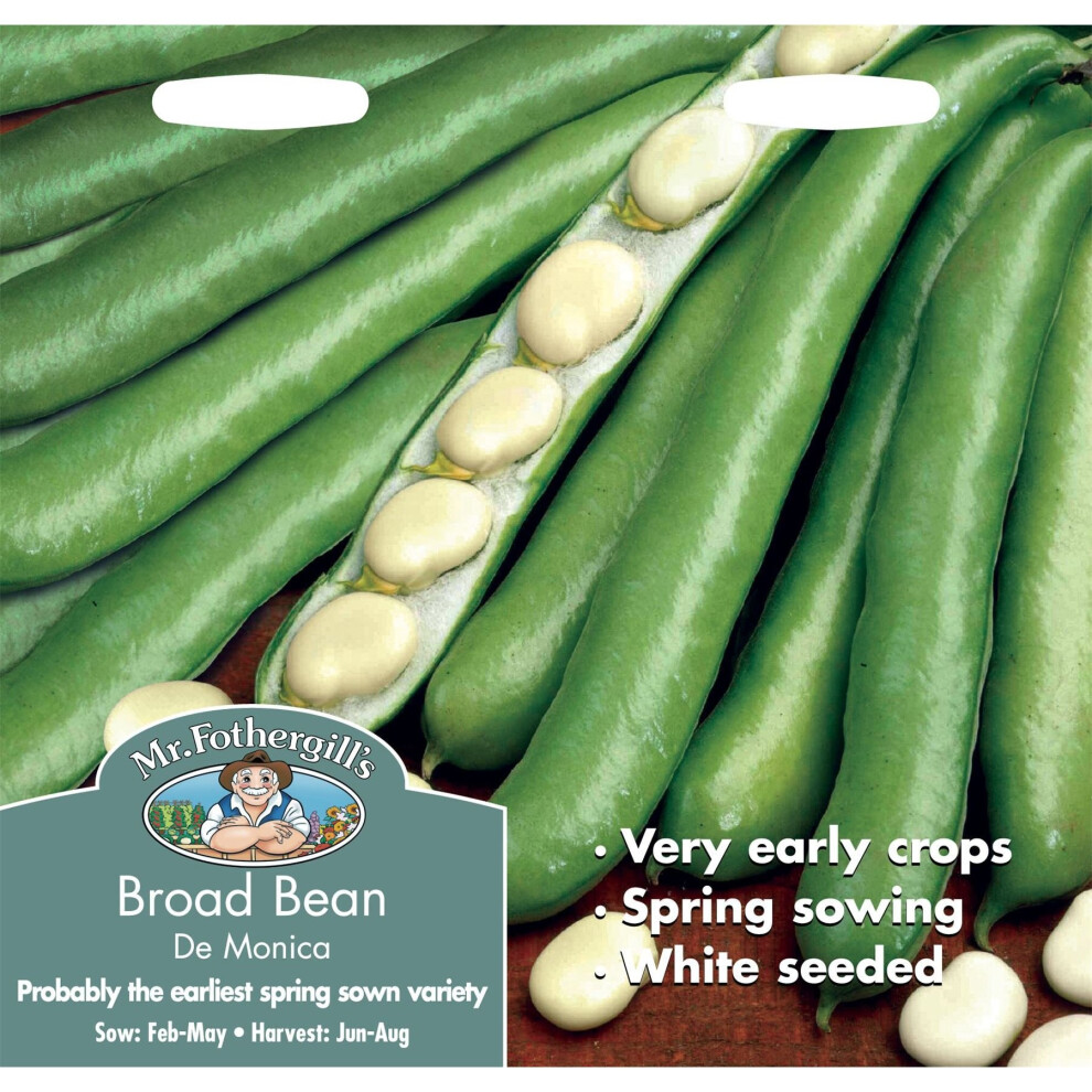 Mr Fothergill's - Pictorial Packet - Vegetable - Broad Bean - Monica - 45 Seeds White