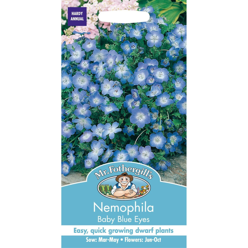 Mr Fothergills - Pictorial Packet - Flower - Nemophila Baby Blue Eyes - 500 Seeds