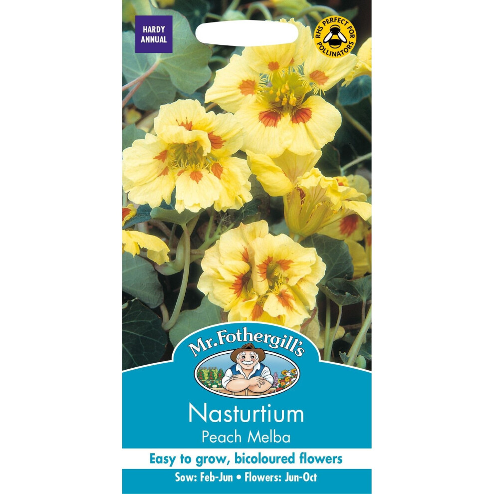 Mr Fothergills - Pictorial Packet - Flower - Nasturtium Peach Melba - 25 Seeds