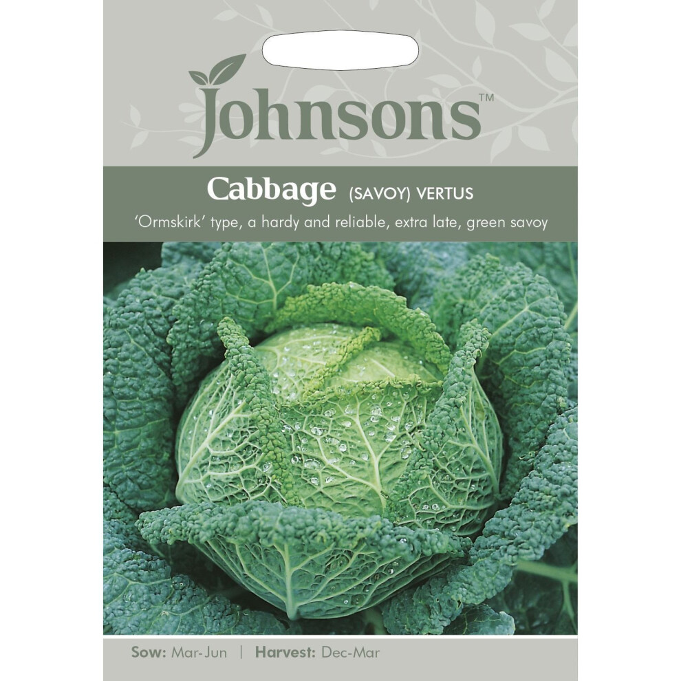 Johnsons Seeds - Pictorial Pack - Vegetable - Cabbage (Savoy) Vertus - 400 Seeds