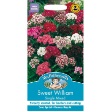 Mr Fothergills - Pictorial Packet - Flower - Sweet William Single Mixed - 500 Seeds