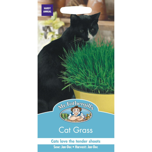 Mr Fothergills - Pictorial Packet - Flower - Cat Grass - Avena sativa - 25g Seed