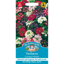 Mr Fothergills - Pictorial Packet - Flower - Verbena Compact Mixed - 125 Seeds