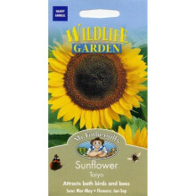 Mr Fothergills - Pictorial Packet - Flower - Sunflower Taiyo - 50 Seeds
