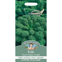 Mr Fothergills - Pictorial Packet - Vegetable - Kale Dwarf Green Curled - 400 Seeds