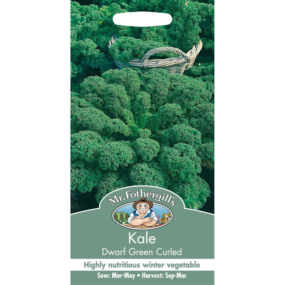 Mr Fothergill's - Pictorial Packet - Vegetable - Kale Dwarf Green Curled - 400 Seeds