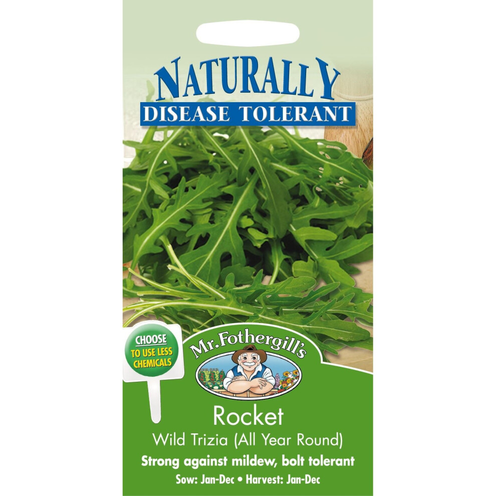 Mr Fothergills - Pictorial Packet - Herb - Rocket Wild Trizia - 350 Seeds