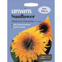 Unwins Grow Your Own Starburst Panache F1 Sunflower Flower Seeds