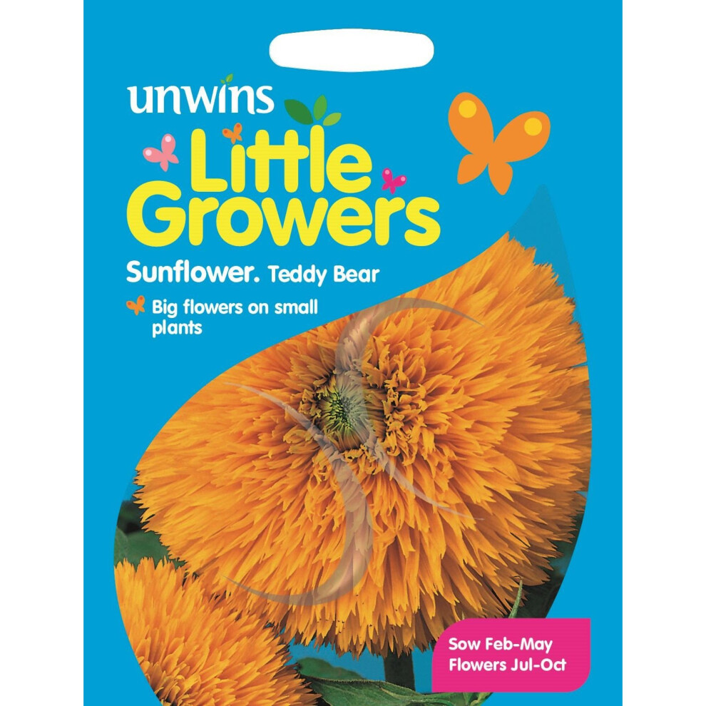 Unwins Grow Your Own Little Growers Teddy Bear Sunflower Flower Seeds