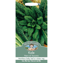 Mr Fothergills - Pictorial Packet - Vegetable - Kale Nero Di Toscana - 400 Seeds