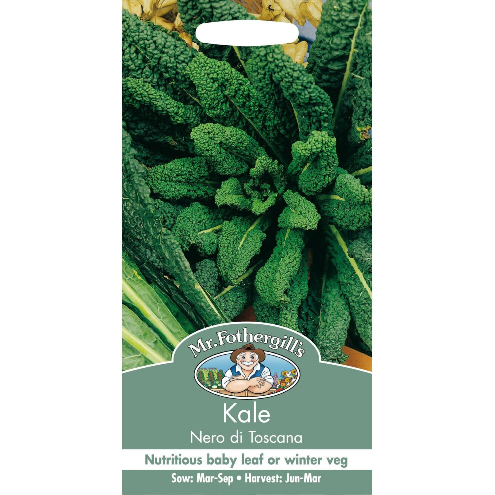 Mr Fothergill's - Pictorial Packet - Vegetable - Kale Nero Di Toscana - 400 Seeds