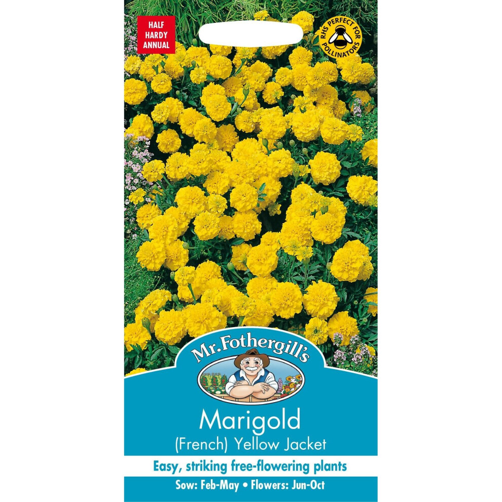 Mr Fothergills - Pictorial Packet - Flower - Marigold (French) Yellow Jacket - 60 Seeds