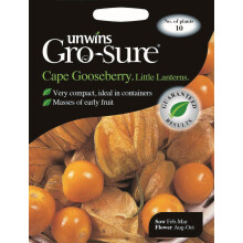 Unwins Pictorial Packet - Cape Gooseberry Little Lanterns - 10 Seeds