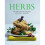 Herbs 1
