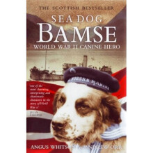 Sea Dog Bamse: World War II Canine Hero