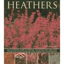 Heathers: An Illustrated Guide To Varieties, Cultivation And Care With Step-by-step Instructions