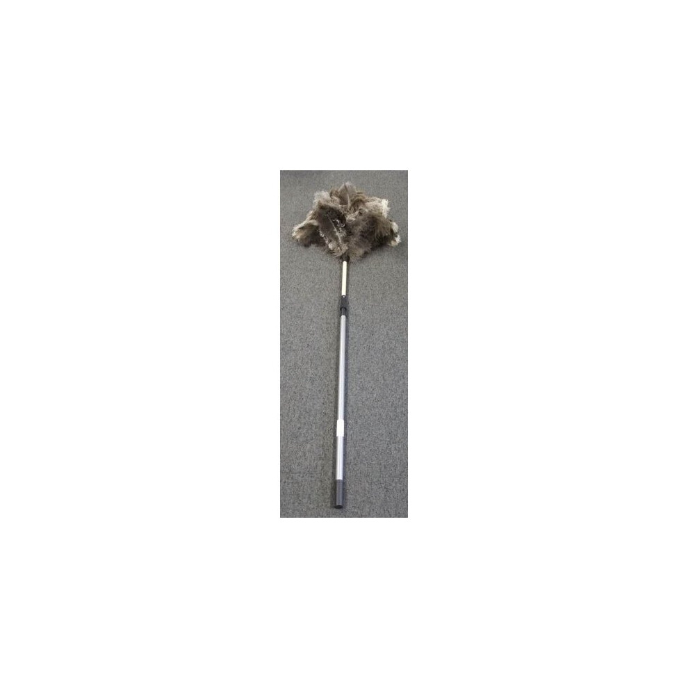 Eddingtons Extendable Feather Duster