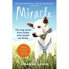 Miracle